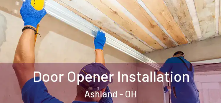  Door Opener Installation Ashland - OH