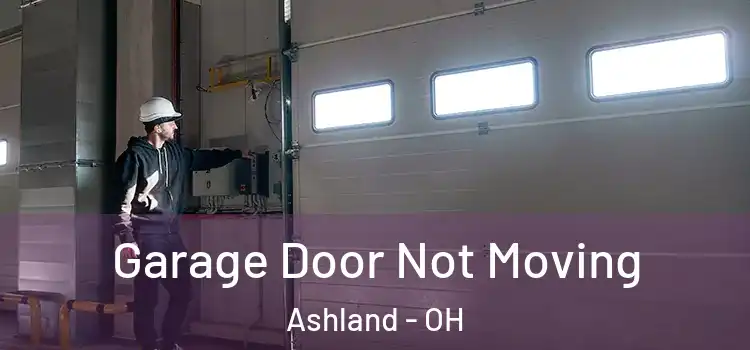  Garage Door Not Moving Ashland - OH