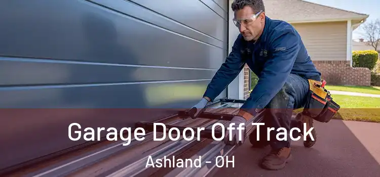  Garage Door Off Track Ashland - OH