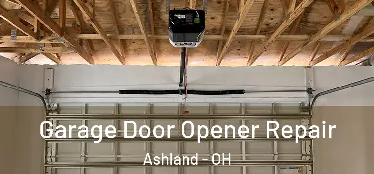 Garage Door Opener Repair Ashland - OH