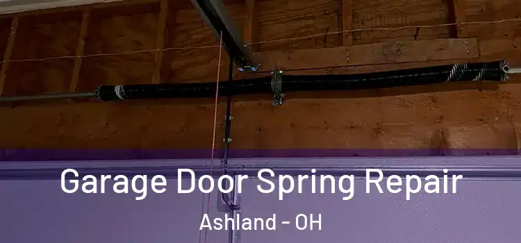  Garage Door Spring Repair Ashland - OH